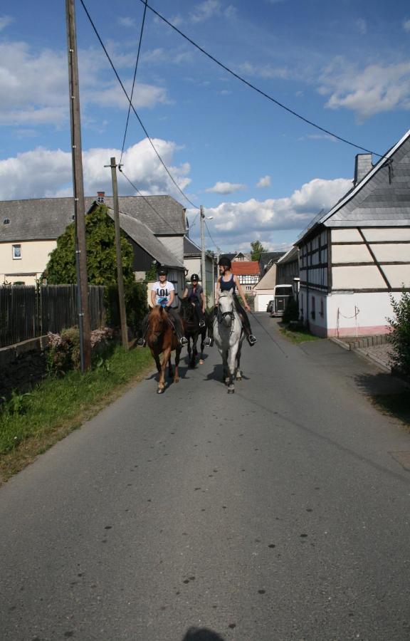 Pferd - Spass - Entspannung Staitz Exterior foto